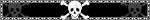 skull2.GIF